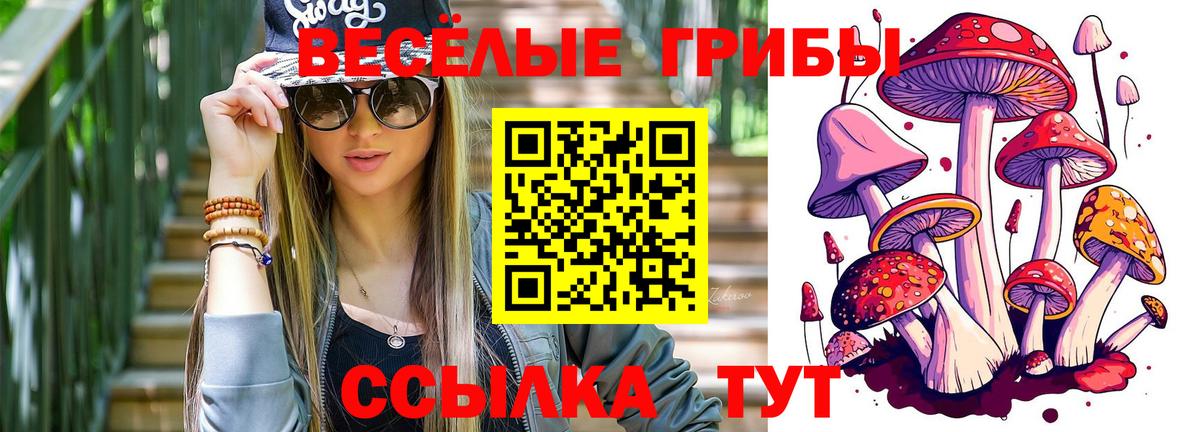 Тында  Псилоцибиновые грибы мухоморы  Вход с VPN 