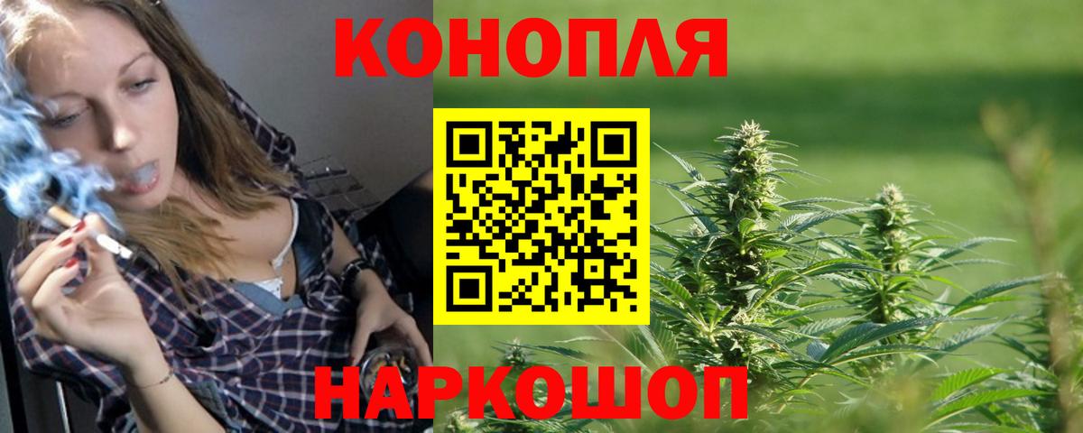 Шишки марихуана планчик  Бошки марихуана марихуана  Тында  Конопля Amnesia  Вход с VPN 